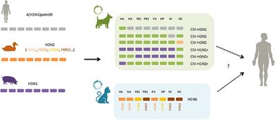 Influenza A Virus Infection in Cats and Dogs: A Literature Review in the Light of the “One Health” Concept